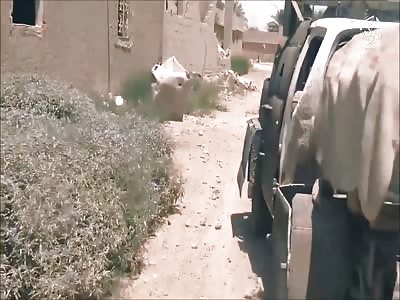 Year Switch While the transgressors of the sons of our skin are quick 