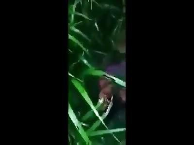 CARTELS BELIEVE IN EQUALITY: FEMALE THIEF EXECUTED