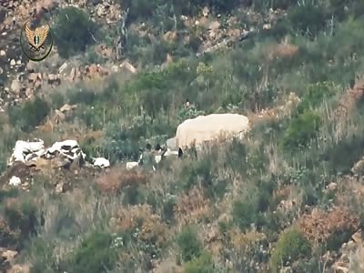 FSA blew up today a Regime position with a #TOW on Atira front .