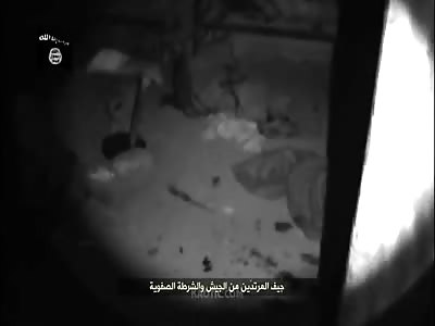 NEW Battlefield Brutality-Extended (January 2020)