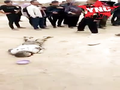 Brutal motorcycle crash 3 dead