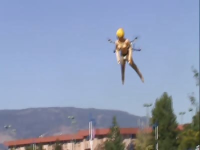 What The Flying Fuck!