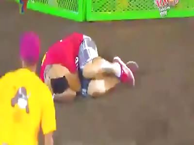 Bull gets revenge! Bull 2 Idiot 0