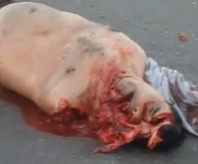 Truck Turns Man into a Pile of Parts