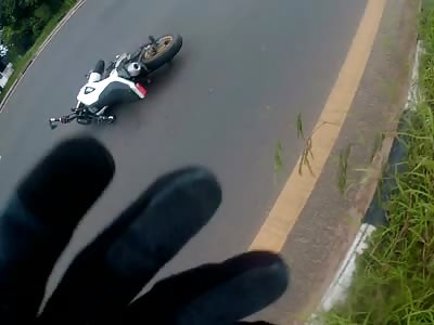 Motorbike flattens dog