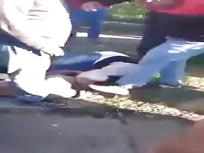 Two thieves get a brutal kicking