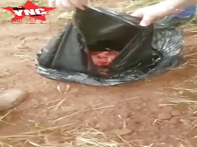 Womans decapitated head found in a trash bag