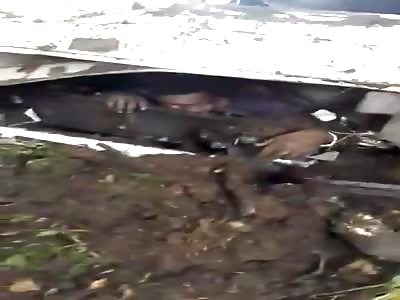 Truck driver was killed after driving off a small bridge