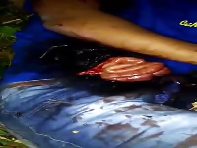 Killed gang member with his intestines hanging out