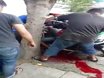 Man crashed into a tree and died