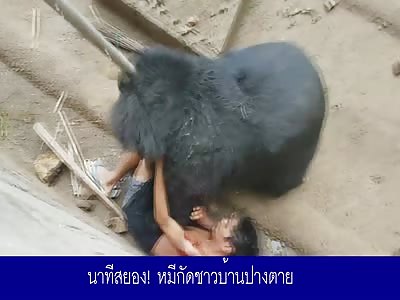 (Uncensored) Man is attacked by a bear