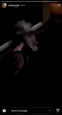 US Rapper Lil Peep Found Dead From an OD at 21