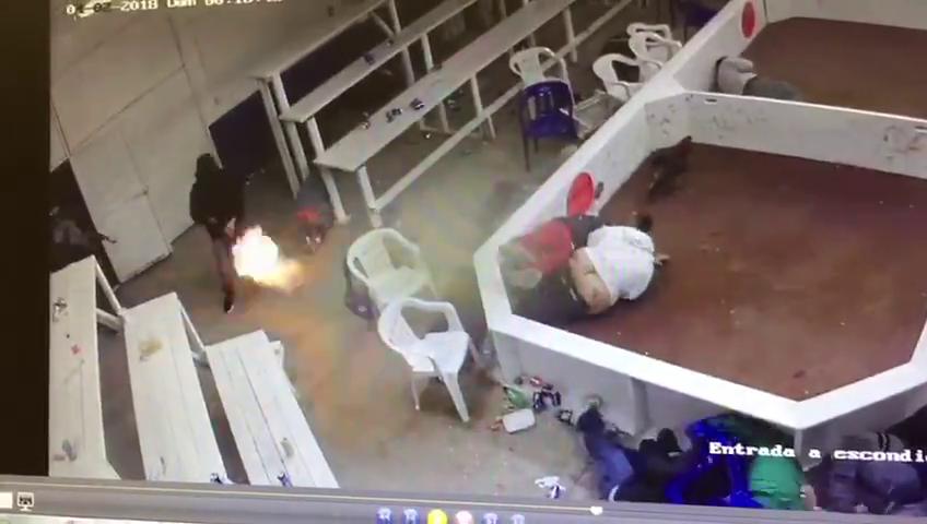 CCTV MURDER: 6 Killed in Brutal Attack at Cockfight in Mexico