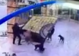 Woman Is Crushed to Death by a Falling Gate