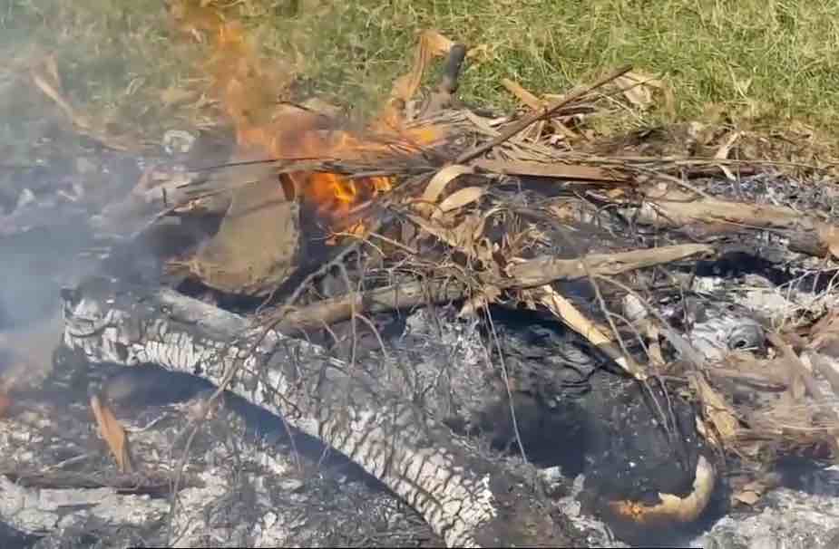 Two Muggers Were Lynched to Death in Dominican Republic