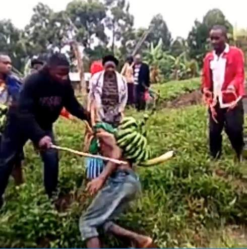 Thieves Get Whipped for Stealing Bananas