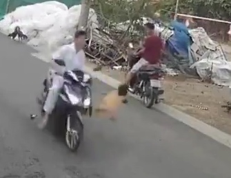 Little Kid Gets Run Over in Street by Speeding Biker (Two Angles)