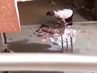 Aftermath of Young Girls Suicide in Turkey