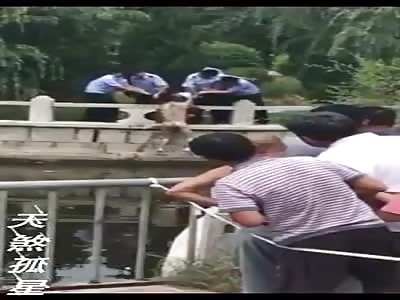 Drowned Naked Chinaman Pulled out of the Water