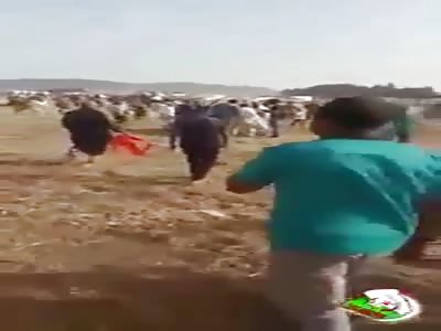 Man Run Over and Killed by a Horse