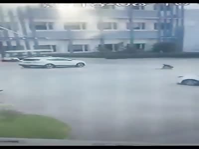 Another Chinese Crushed by Car