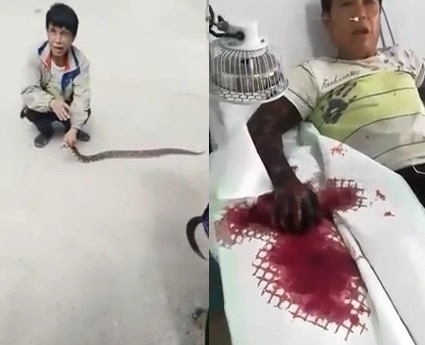 Karma: Don't Use Snakes as Entertainment