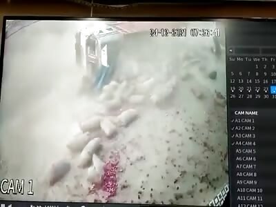 Damn.... Schoolgirl Crushed by Overturned Truck