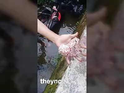 your brain, it goes out of your head