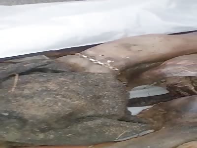 Wtf But what the fuck damn