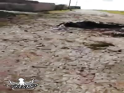 The war, dead fighters