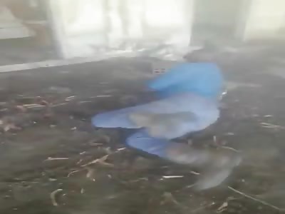 Black Kid Punished with 2x4's