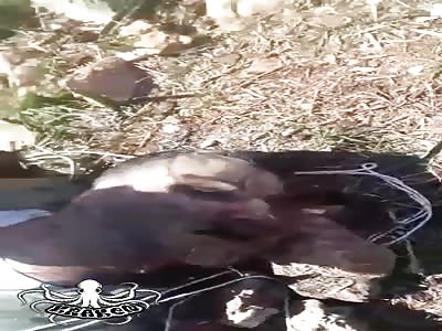 corpse of the pilot of the L-39 type airplane 