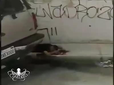 two men, shot to death