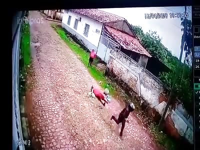 DAMN: Hitman Comes from Behind