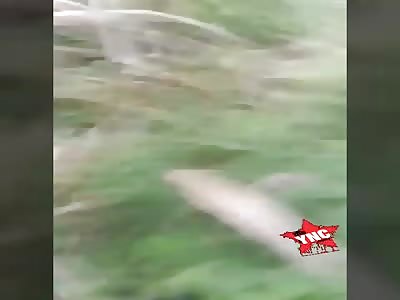 They found the body of a dismembered woman(full video)