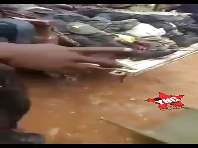 Massacre of soldiers in cameroon