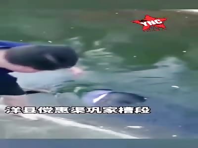 Suicide, launched into the river