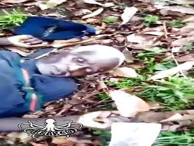 Old man shot dead in cameroon