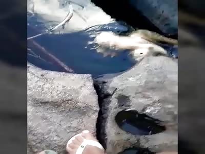 Rotten body of a woman, found in the water