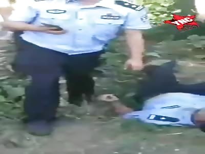 Vehicle accident truck crash