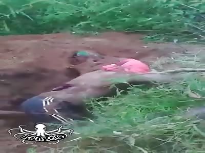 Civil war in cameroon, discovery of clandestine grave 