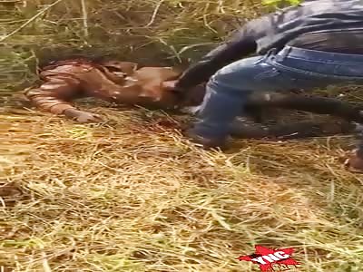 Brutally Murdered Then Robbed by Police in Cameroon