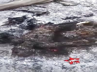 18 year old arrested and reduced to coal