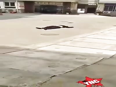 Suicide, corpse of man after jumping from building