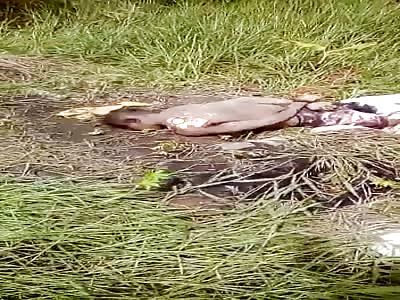 lifeless body in a rotten