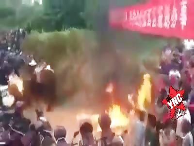 LOL: Protester Set on Fire