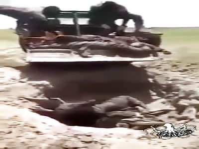 massacre in nigeria, grave for bodies of murdered citizens