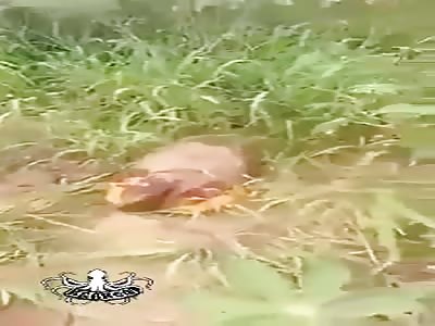 it happened in El, Anambra state, dismembered body