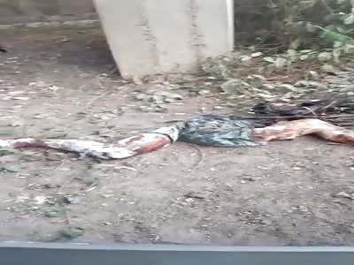 wtf, find remains of legs