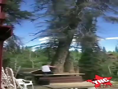 the jerk of the year is ...